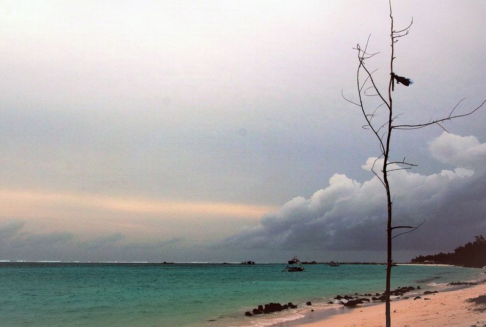 ಸೈಕಲ್ಲು ಗಾಲಿಗಳಂತೆ ಚಲಿಸುತ್ತಿರುವ ನಿರಾಯಾಸ ಬದುಕು: ಅಬ್ದುಲ್ ರಶೀದ್ ಬರೆಯುವ ಲಕ್ಷದ್ವೀಪ ಡೈರಿ