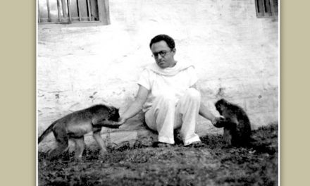 ಆಧ್ಯಾತ್ಮಿಕ ಕ್ಷೇತ್ರದ ಫಾರೆಸ್ಟ್ ಗಂಪ್ ಮಾರಿಸ್ ಫ್ರೀಡ್ಮನ್: ವಲಸೆ ಹಕ್ಕಿ ಬರೆದ ಲೇಖನ