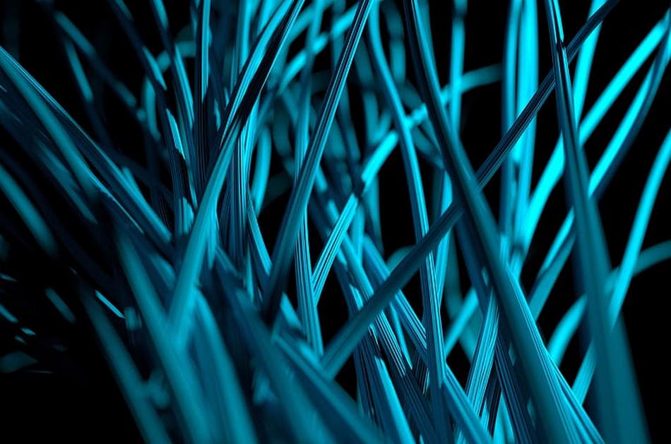 ನ್ಯೂರಾನ್‌ ಗಳ ಸುಳಿಯಲ್ಲಿ ನೆನಪಿನ ಕೊಂಡಿ…: ಶೇಷಾದ್ರಿ ಗಂಜೂರು ಅಂಕಣ