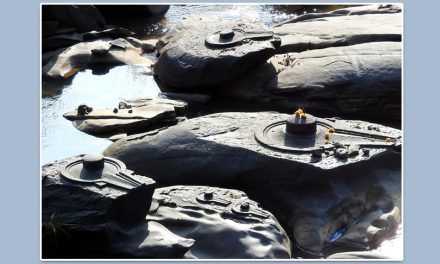 ಶಾಲ್ಮಲಿಯ ಸಹಸ್ರಲಿಂಗ: ಟಿ.ಎಸ್. ಗೋಪಾಲ್ ಬರೆಯುವ ದೇಗುಲಗಳ ಸರಣಿ