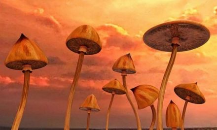 ಚಂದ್ರು ಎಂ ಹುಣಸೂರು ಬರೆದ ಹೊಸ ಕವಿತೆ