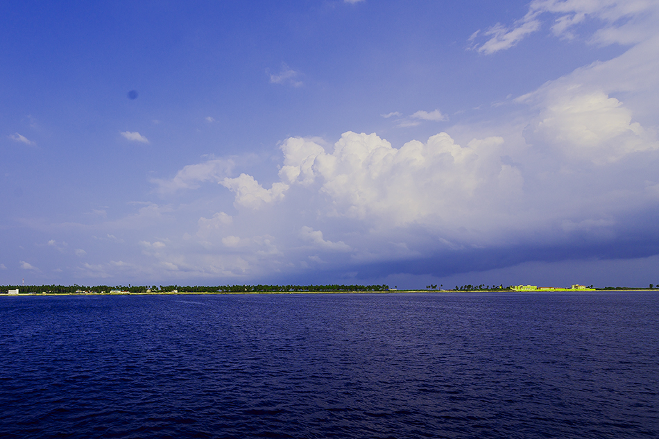 ಕಾಕ ಸಾಮ್ರಾಜ್ಯದಲ್ಲಿ ಹೂಹಕ್ಕಿಗಳು ಇರಬಲ್ಲುವೇ?