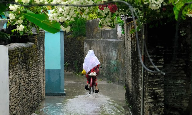 ಮಾಯದಂತಹ ಒಂದು ಮಧ್ಯಾಹ್ನದ ಮಳೆ
