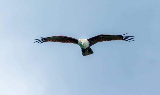 ಗಗನ್‌ ಬೂಸ್ನೂರ್ ತೆಗೆದ ಈ ದಿನದ ಚಿತ್ರ