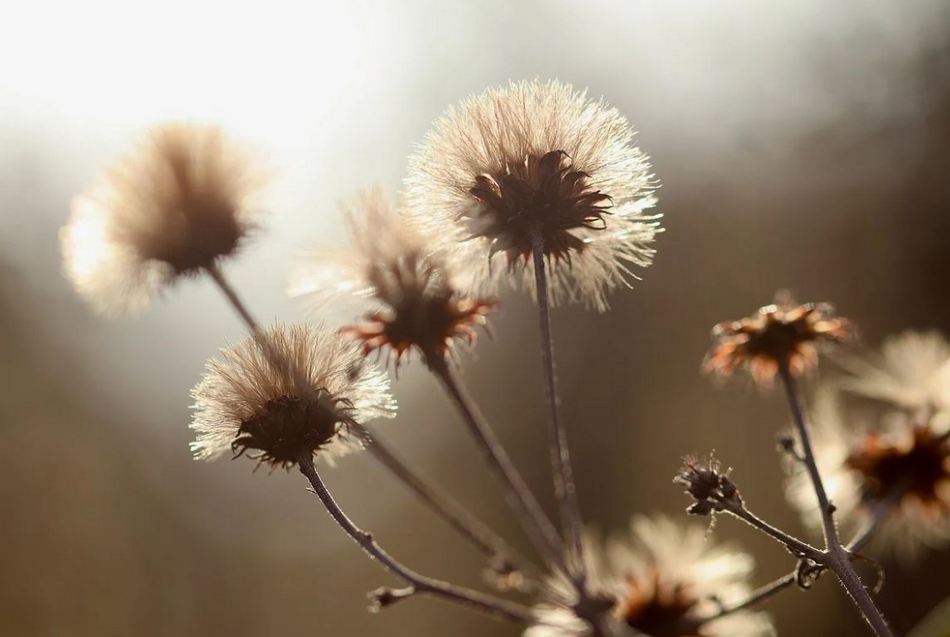 ಬದುಕಿದ್ದರೆ ಮತ್ತೆ ಭೇಟಿಯಾಗುವೆ: ಅಭಿಷೇಕ್ ವೈ.ಎಸ್ ಬರೆದ ಕವಿತೆ