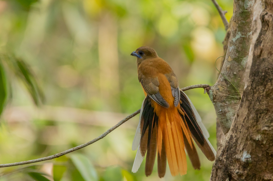 ಅರವಿಂದ್‌ ಹೆಚ್. ಆರ್. ತೆಗೆದ ಈ ದಿನದ ಚಿತ್ರ