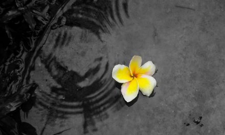 ಹೂವು ಮತ್ತು ಸೂರ್ಯ: ಸುಮಿತ್‌ ಮೇತ್ರಿ ಬರೆದ ಈ ದಿನದ ಕವಿತೆ