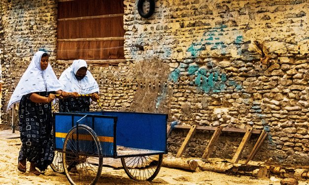 ಪುಟ್ಟದೊಂದು ಹೂಹಕ್ಕಿಯ ಹುಡುಕುವುದು ಇಲ್ಲಿಗೆ ಹೊರಟ ಕಾರಣವಾಗಿತ್ತು