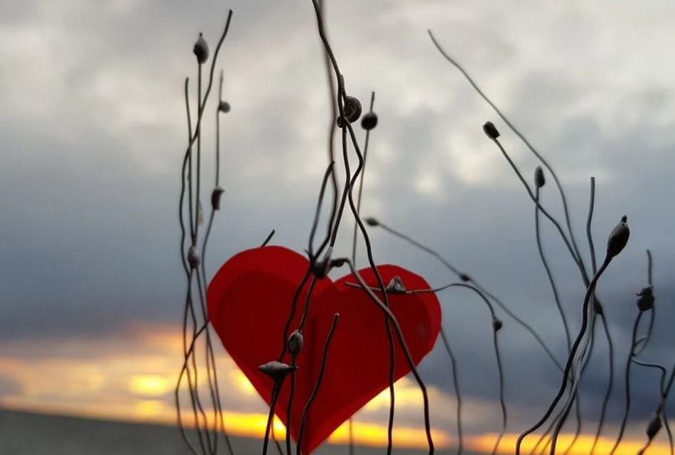 ಅಕ್ಷಯ ಪಾತ್ರೆ: ಕಾತ್ಯಾಯಿನಿ ಕುಂಜಿಬೆಟ್ಟು ಬರೆದ ಈ ದಿನದ ಕವಿತೆ