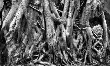 ಭೂಮಿಯಾಳದ ಬೇರುಗಳು: ಶಿವಶಂಕರ ಸೀಗೆಹಟ್ಟಿ ಬರೆದ ಈ ದಿನದ ಕವಿತೆ