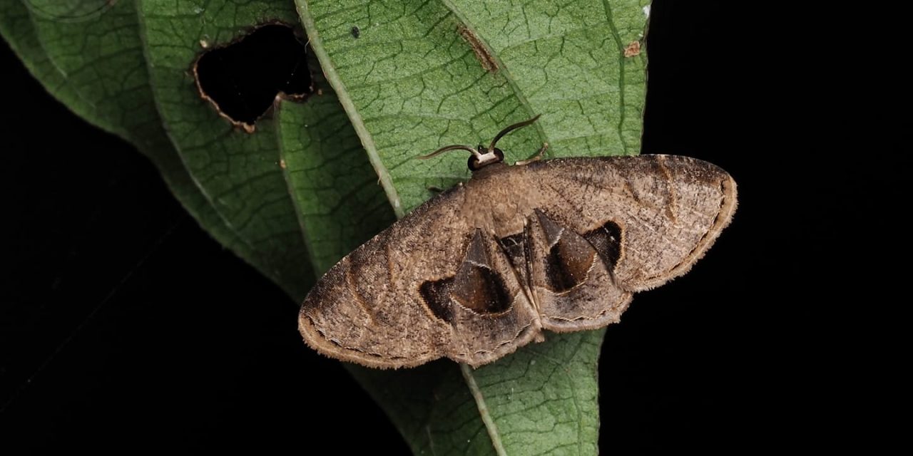 ಡಾ. ಅಭಿಜಿತ್‌ ಎಪಿಸಿ ತೆಗೆದ ಈ ದಿನದ ಚಿತ್ರ
