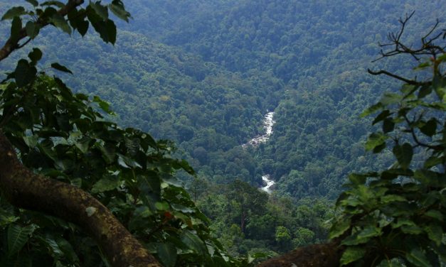 ದೂರ ಅನ್ನುವ ಹತ್ತಿರ ಭಾವವಿದು…