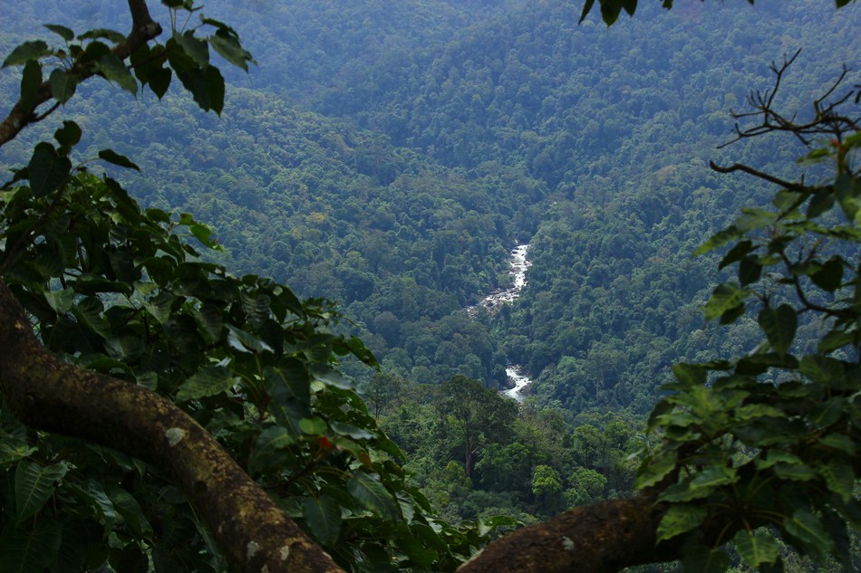 ದೂರ ಅನ್ನುವ ಹತ್ತಿರ ಭಾವವಿದು…
