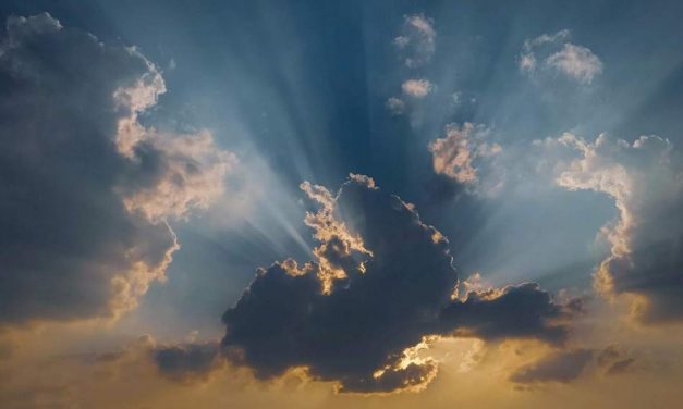 ನೂತನ್‌ ಗೌಡ ತೆಗೆದ ಈ ದಿನದ ಚಿತ್ರ