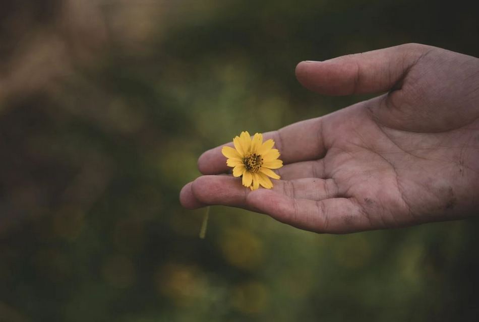 ಡಾ.ನಾ.ಮೊಗಸಾಲೆ ಬರೆದ ಈ ದಿನದ ಕವಿತೆ: ಮುತ್ತು