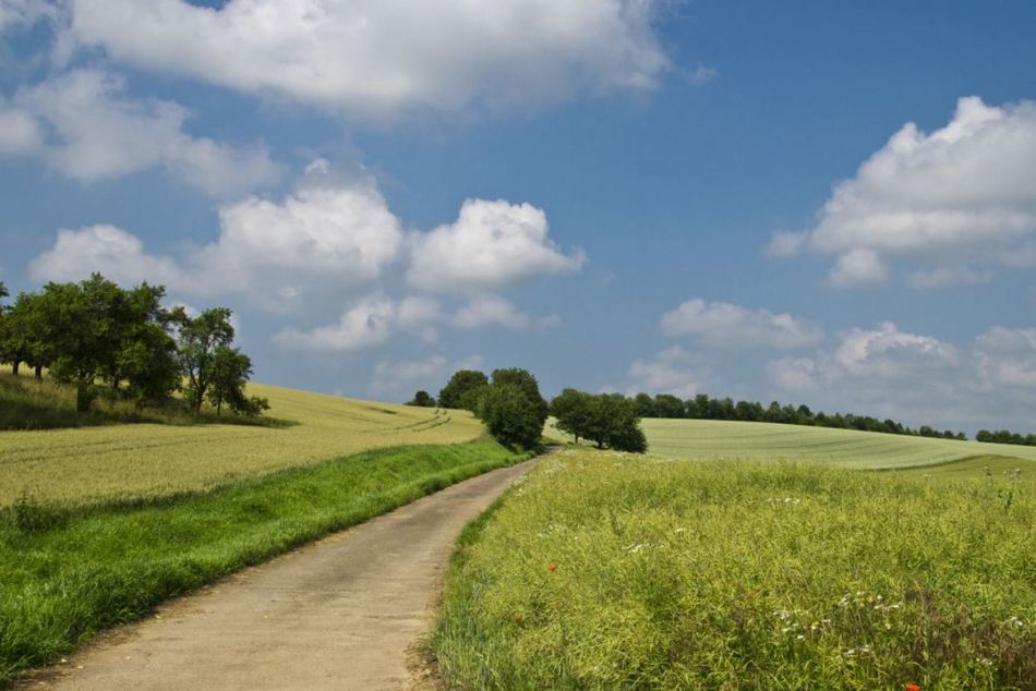 ಬಿಸಿಲ ನಾಡಿನಲ್ಲಿ ಹೆಕ್ಕಿದ ಕಾವ್ಯಸಾಲುಗಳು
