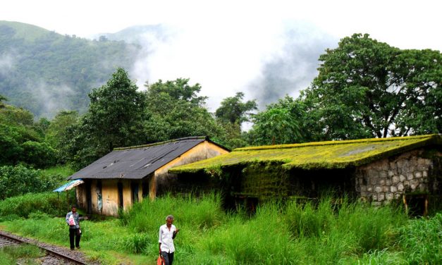 ಮಂಜುನಾಥ್‌ ಚಾಂದ್‌ ತೆಗೆದ ಈ ದಿನದ ಚಿತ್ರ