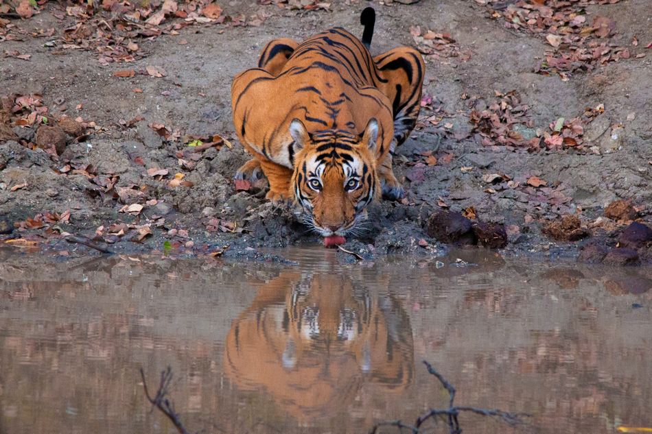 ಕಾರ್ತಿಕ್ ಭಟ್ ತೆಗೆದ ದಿನದ ಚಿತ್ರ