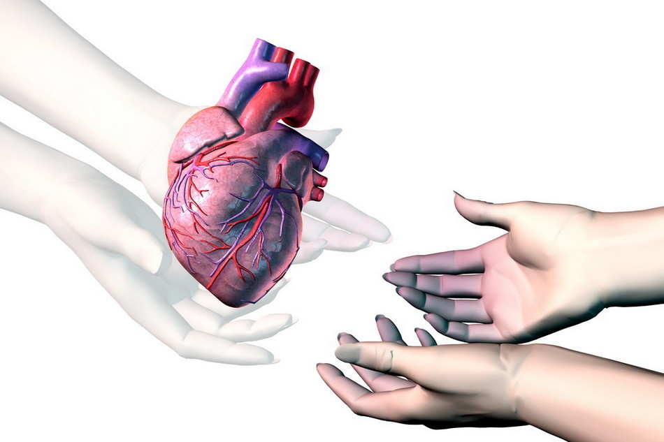 ದಾನಗಳಲ್ಲಿ ಮಹಾದಾನ…