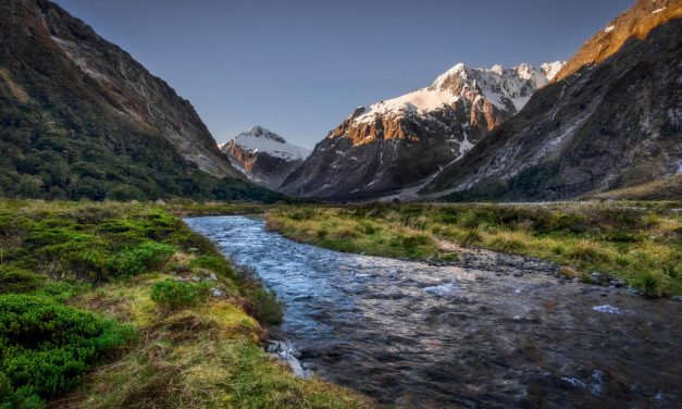 ಅಚಲ ಸೇತು ಬರೆದ ‘ಕೀವೀ ನಾಡಿನ ಪ್ರವಾಸ ಕಥನ’