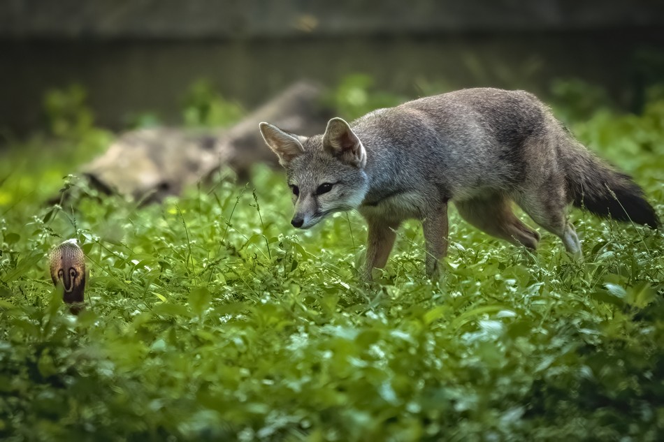 ಮಂಜುನಾಥ್‌ ಓಲೆಕಾರ್‌ ತೆಗೆದ ಈ ದಿನದ ಫೋಟೋ