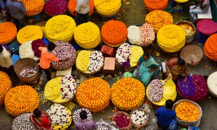 ಸಂದೀಪ್ ಶಾನಭೋಗ್ ತೆಗೆದ ಈ ದಿನದ ಚಿತ್ರ