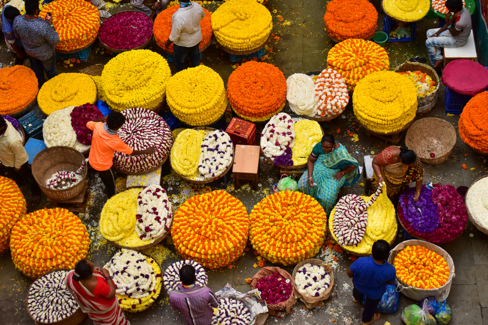 ಸಂದೀಪ್ ಶಾನಭೋಗ್ ತೆಗೆದ ಈ ದಿನದ ಚಿತ್ರ