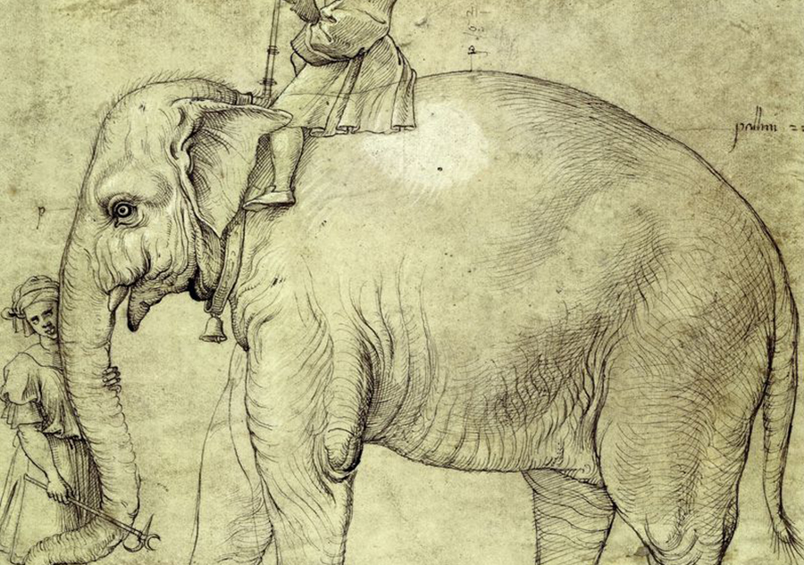 ‘ಆನೆಗೆ  ಬಂದ ಮಾನ’ ಶೇಷಾದ್ರಿ ಗಂಜೂರು ಹೊಸ ಸರಣಿ ಆರಂಭ