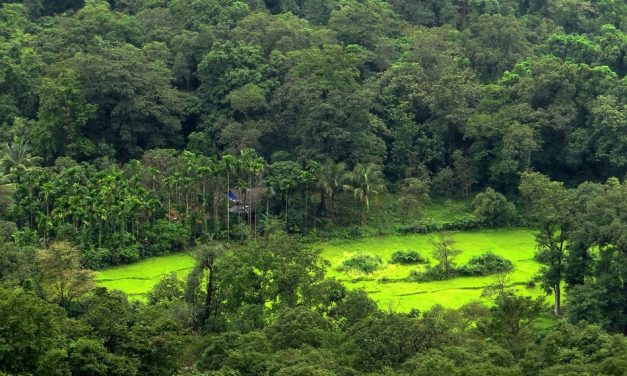 ಚೌಕಟ್ಟಿನೊಳಗೆ ಕೂತ ಒಂದು ಊರಿನ ಚಿತ್ರ