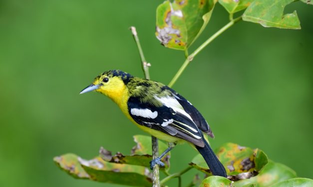 ಕೃಷ್ಣ ದೇವಾಂಗಮಠ ತೆಗೆದ ಈ ದಿನದ ಫೋಟೋ