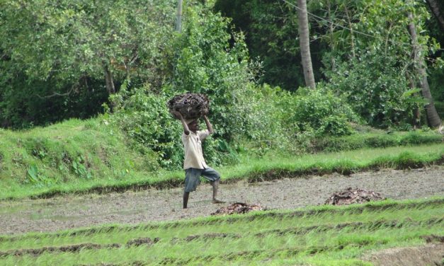 ಕಣ್ಣ ಕಾಡಿನ ಹಾಡು