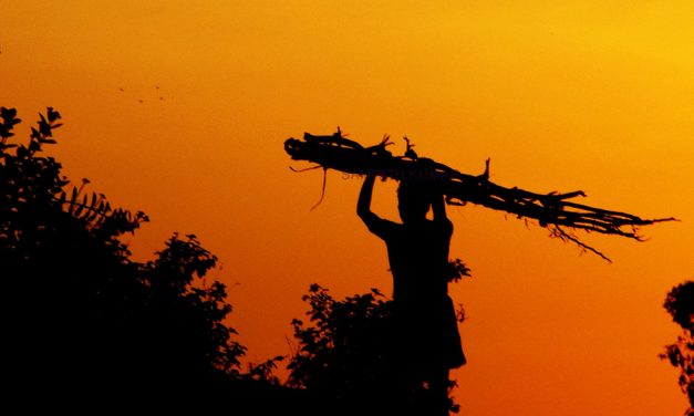 ಸಂಪತ್ ಕುಮಾರ್ ದುರ್ಗೋಜಿ ತೆಗೆದ ಈ ದಿನದ ಫೋಟೋ