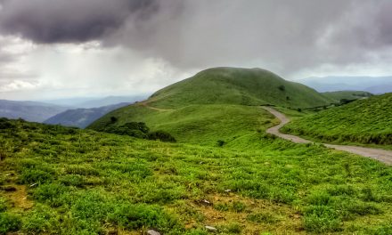 ನೀಲ ಕುರುಂಜಿಯ ನಾಡಿನಲ್ಲಿ ರಕ್ತಸಿಕ್ತ ಅಧ್ಯಾಯ