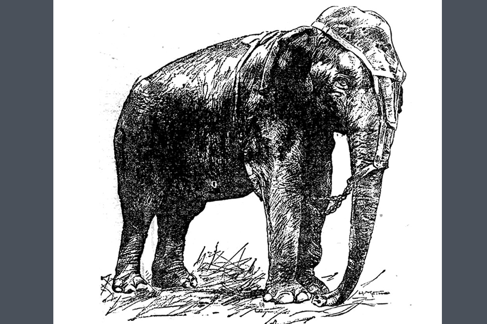 ಸಲಕರಣೆಗಳನ್ನು ಅನ್ವೇಷಿಸುವ ಮನುಷ್ಯರ ಮನೋಲೋಕದ ಕತೆಯಿದು