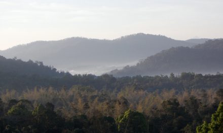 ಕವಿಶೈಲದ ಹುಲಿಯೂ ದೂರದ ಕುದುರೆಮುಖವೂ