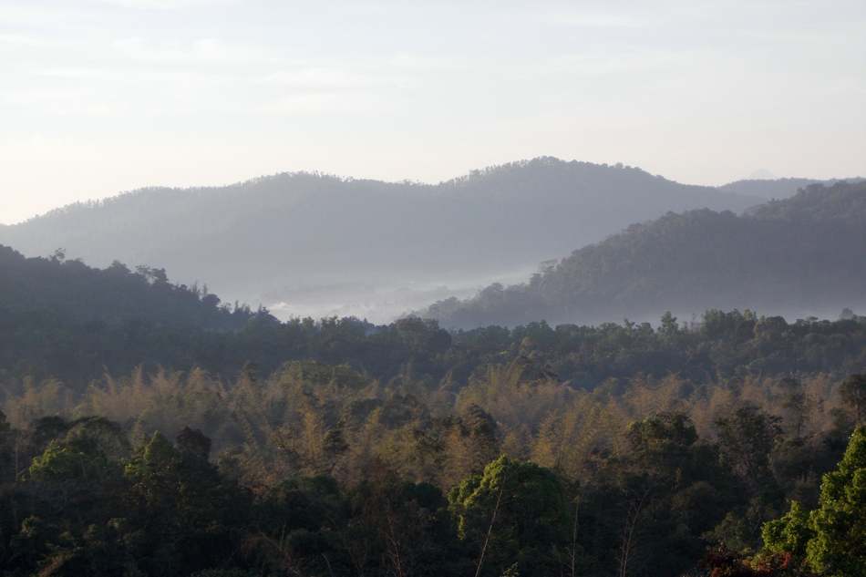ಕವಿಶೈಲದ ಹುಲಿಯೂ ದೂರದ ಕುದುರೆಮುಖವೂ
