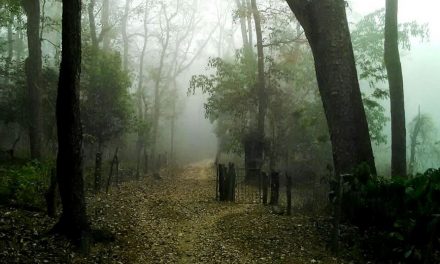 ಛತ್ರಪತಿ ಶಿವಾಜಿ ಮಹಾರಾಜನ ಮಗನು ಆಡುವಳ್ಳಿಗೆ ಓಡಿಬಂದ ಕತೆ!