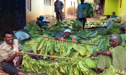 ಗೋಡೆಯಿಂದ ಹಾರಿದ ಹಾವುಗಳು ಮತ್ತು ಗೋಡೆಗಂಟಿದ ಮನುಷ್ಯರು