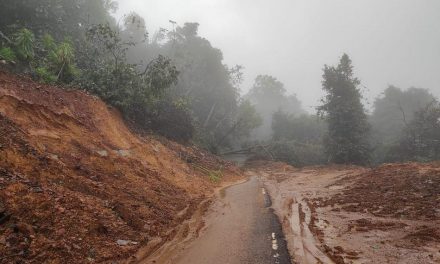 ಕಾಡಿನ ಮನೆಯ ಅಕ್ಕರೆಯ ಕಾವು