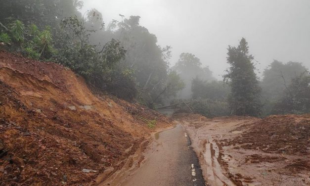 ಕಾಡಿನ ಮನೆಯ ಅಕ್ಕರೆಯ ಕಾವು