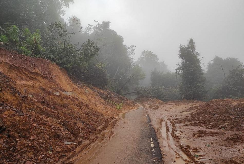 ಕಾಡಿನ ಮನೆಯ ಅಕ್ಕರೆಯ ಕಾವು