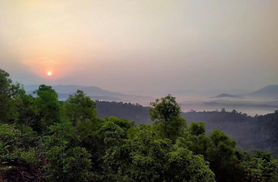 ಎಂ ಪೂರ್ವಿತಾ ತೆಗೆದ ಈ ದಿನದ ಫೋಟೋ