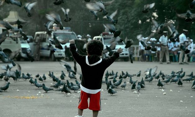 ಜಿ.ಕೆ. ಹೆಗಡೆ ತೆಗೆದ ಈ ದಿನದ ಫೋಟೋ