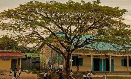 ಮರದ ನೆರಳಿನಲ್ಲಿ…