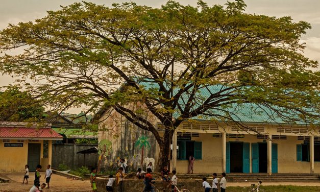 ಮರದ ನೆರಳಿನಲ್ಲಿ…