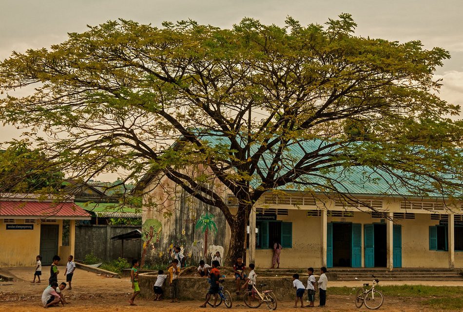 ಮರದ ನೆರಳಿನಲ್ಲಿ…