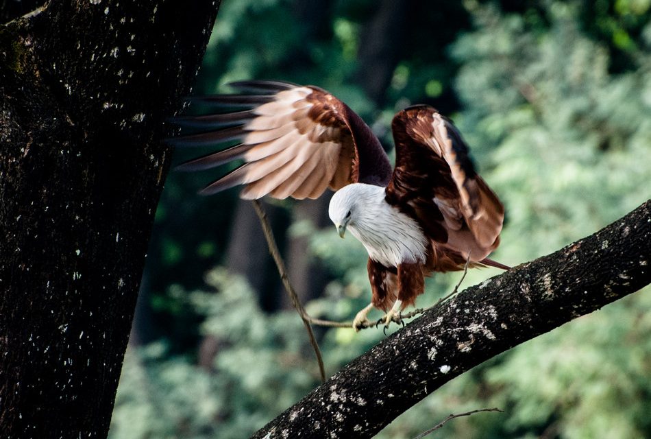 ಸ್ಮಿತಾ ರಾವ್ ತೆಗೆದ ಈ ದಿನದ ಫೋಟೋ