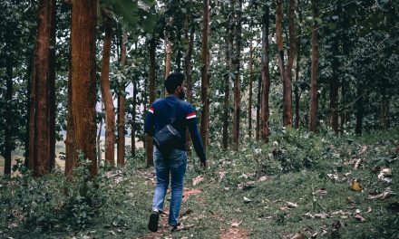 ಜಯಶಂಕರ ಹಲಗೂರು ಬರೆದ ಈ ದಿನದ ಕವಿತೆ