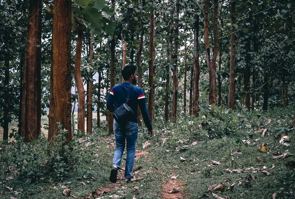 ಜಯಶಂಕರ ಹಲಗೂರು ಬರೆದ ಈ ದಿನದ ಕವಿತೆ
