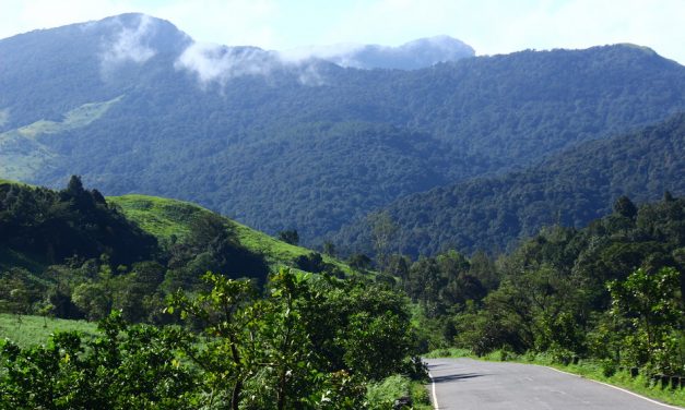 ಪೇರಳೆಯ ಸಿಹಿ ಕೊಡುವ ಕಾಡಿನೊಡಲ ಜೀವ